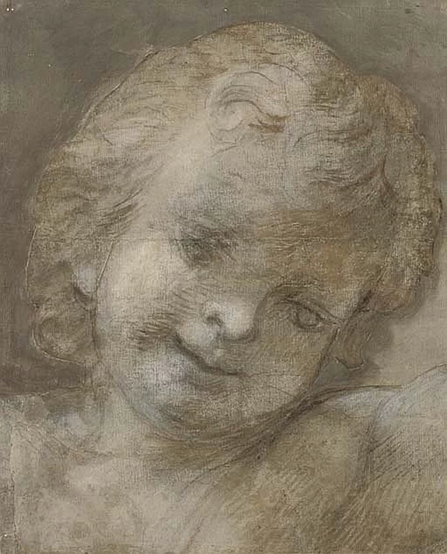 Testa di un putto - attribuito